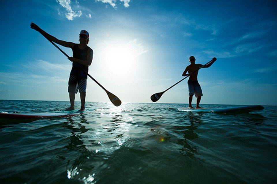 Caleta Stand Up Paddle Experience