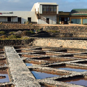 Del Carmen Saltworks Museum