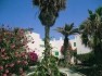 Labranda Tahona Garden,Caleta de Fuste,Fuerteventura
