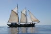 Pirate Sailing Adventure from Costa Calma