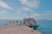Lobos Island Ferry (round trip)