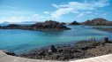Lobos Island Ferry (round trip)