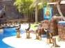 Oasis Park-Fuerteventura Zoo Day Trip