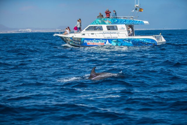 What&#039;s on May 6th in Fuerteventura